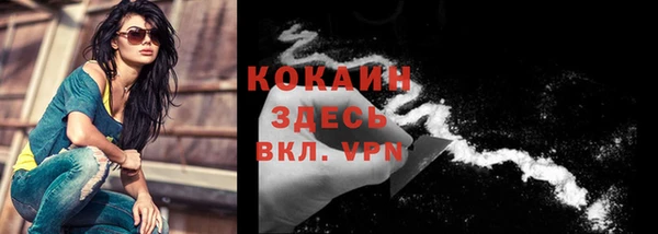 ешки Абинск
